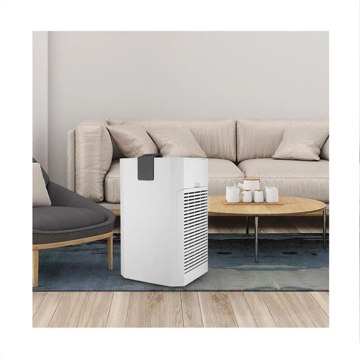 BKJ-80A New Large Area Air Purifier UV Add