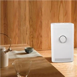 Humidifier Tangki Air Besar Untuk Keluarga